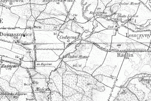 Dwory (określenia gut lub Vwerk)w: Brzezinkach, Domaszowicach, Leszczynach, Masłowie, Nowym Folwarku, Woli Kopcowej - na Mapie z 1914 Karte Westlichen...